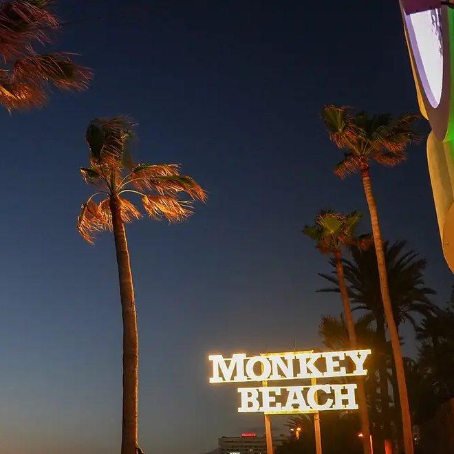 Monkey Beach Club, Costa Adeje